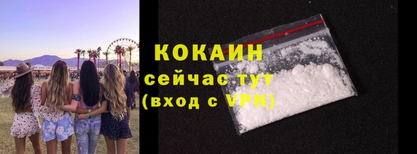 дмт Инта