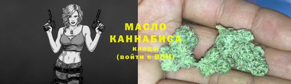 дмт Инта
