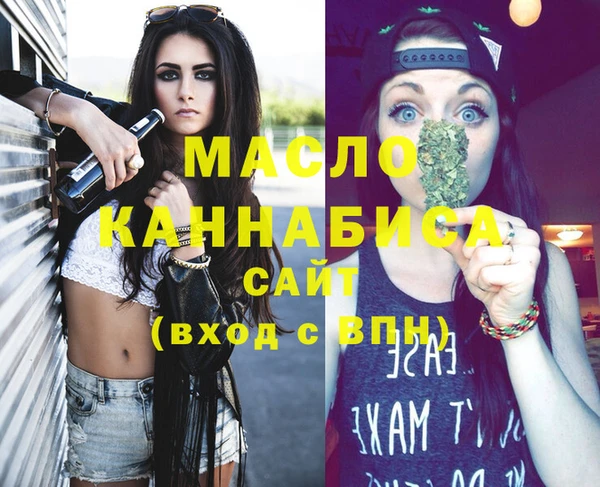 дмт Инта