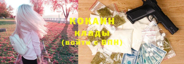 дмт Инта