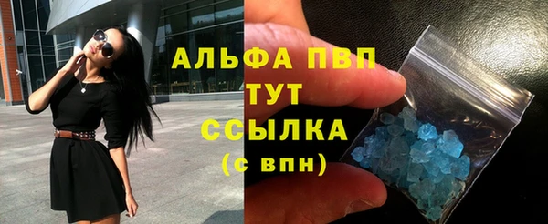 дмт Инта