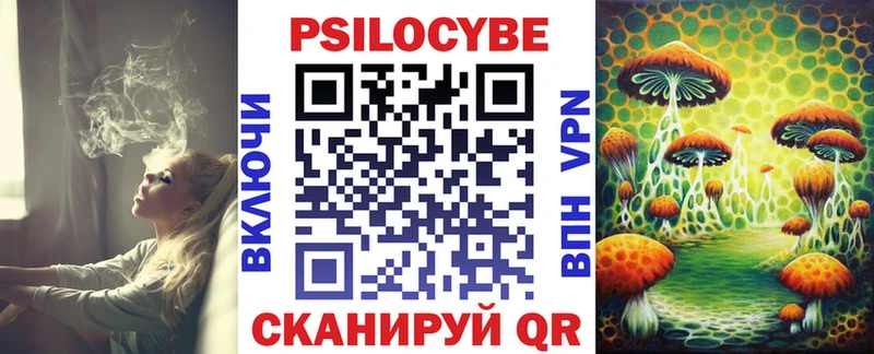 Купить закладки  Дубна  Псилоцибиновые грибы ЛСД 